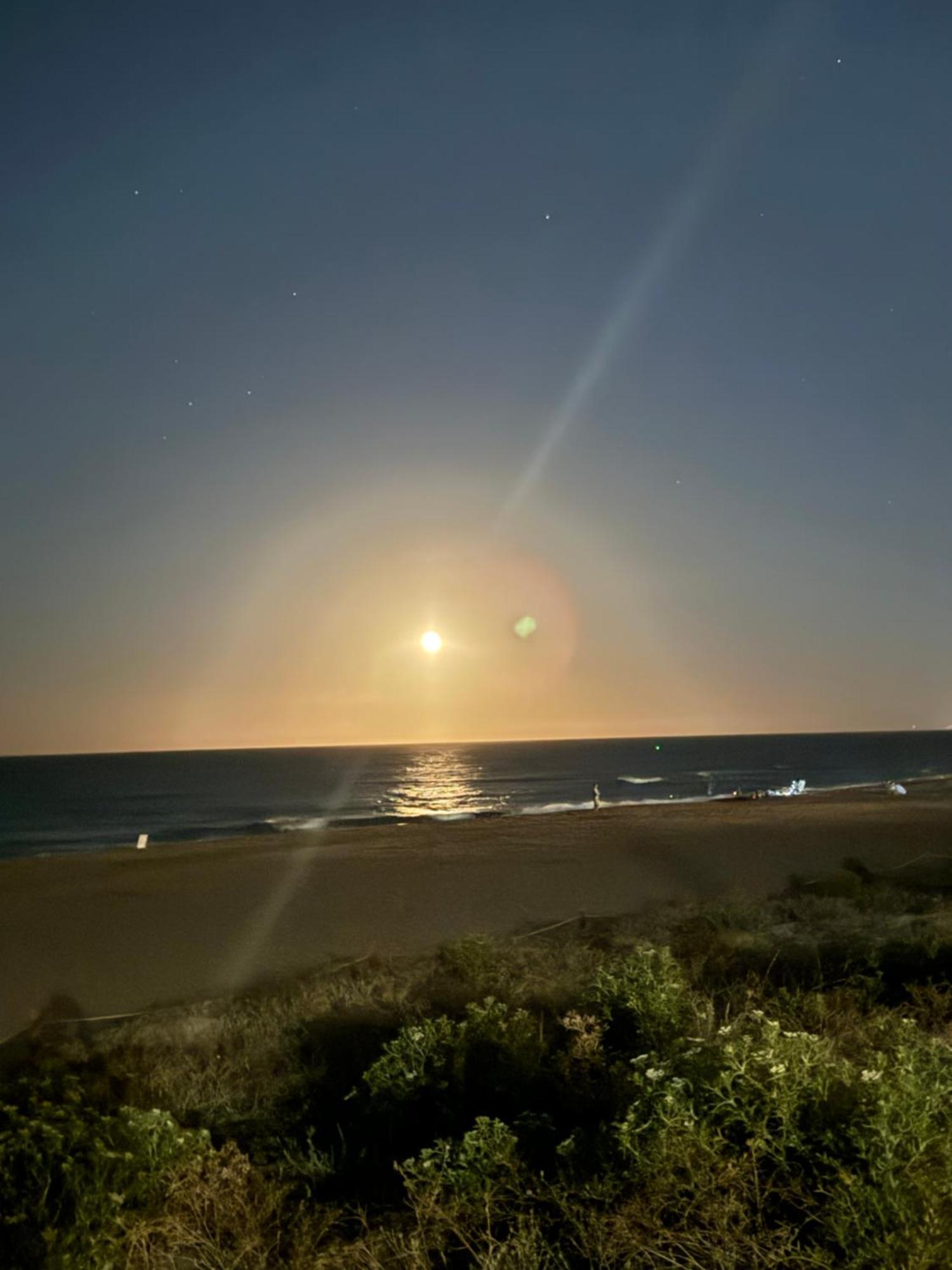 La Casita De La Playa Lejlighed Xeraco Eksteriør billede